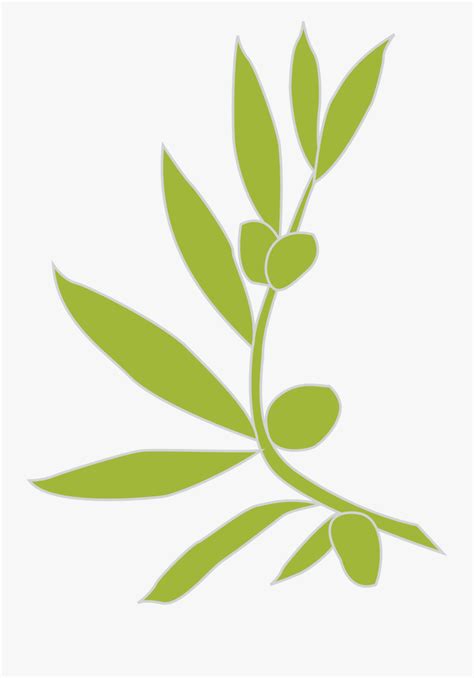 Logo Olive Branch - Olive Branch Vector Png , Free Transparent Clipart ...