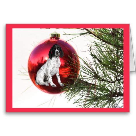 45 Dog Christmas Cards ideas | funny dog pictures, dog christmas card ...