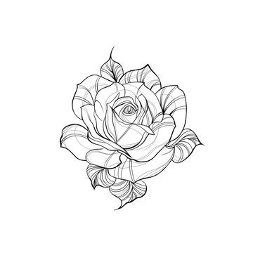 Small Outline Rose Tattoo: See the Most Beautiful Designs Here!