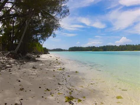 Backpack and Snorkel Travel Guide for the 5 Best Beaches in Rarotonga ...