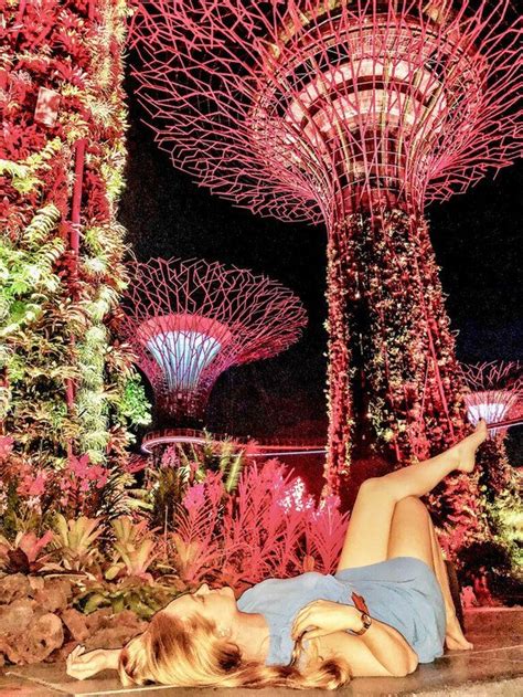 Light Show At Gardens By The Bay Singapore - The Ultimate Guide! - 24 Hours Layover