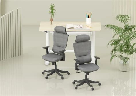 Ergonomic Chairs — Features, Benefits, and Importance in the Workplace ...