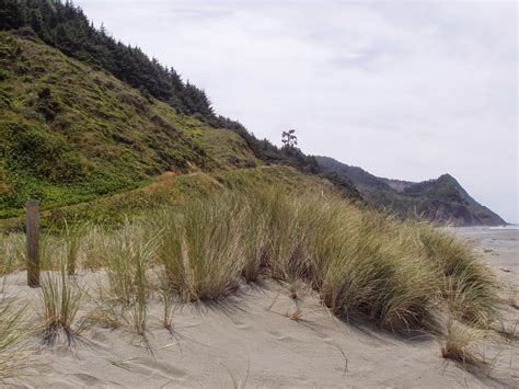 Hiking the Oregon Coast Trail: Mile 341.4 to Mile 363: Gold Beach to ...