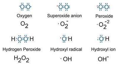 Oxidation states of Group 16 elements - W3schools