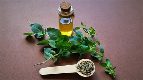 The Skincare Benefits Of Oregano (& How To Add It To Your Routine)