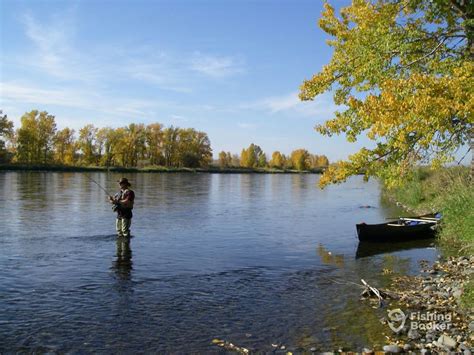 A man stands in river holding a fishing rod on an autumnal day with his ...