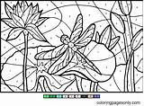 Beach Color By Number Coloring Pages  sketch template