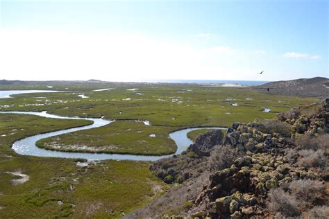 New protected areas in San Quintín Bay | Terra Peninsular