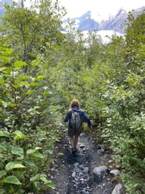 Portage Pass Trail — Visit Girdwood