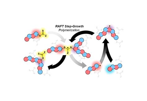 Reversible-Addition Fragmentation Chain Transfer Step-Growth Polymerization – Department of ...