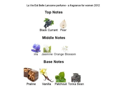 LANCOME LA VIE EST BELLE (Generic Inspired *)