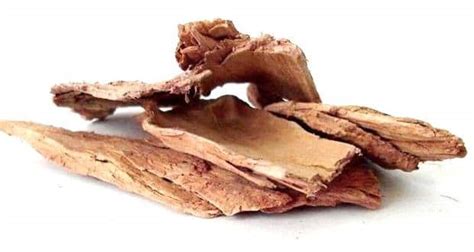 Arjuna Bark: Health Benefits, Uses And Side Effects | TheHealthSite.com