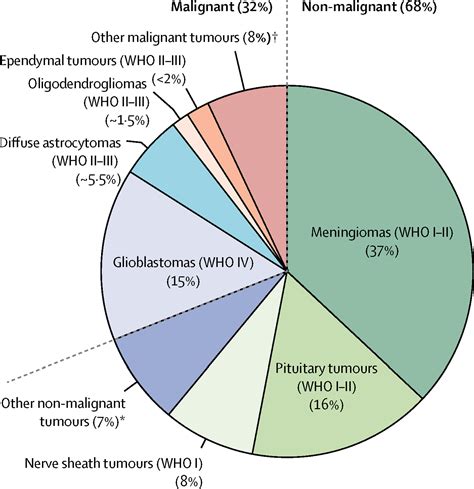 Primary brain tumours in adults - The Lancet