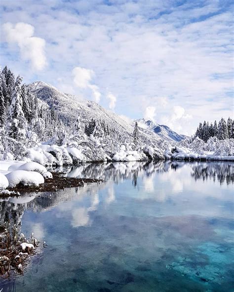 Photos: Zelenci Nature Reserve Covered In Snow In Winter - Travel Slovenia