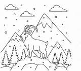 Mountain Goat Outline Coloring Page Christmas And Winter Animal  sketch template