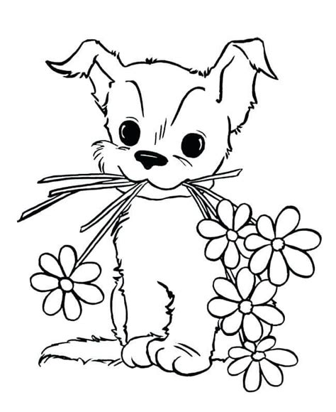 Baby Animal Coloring Pages - Free Printable Coloring Pages for Kids