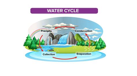 What is the journey of water?