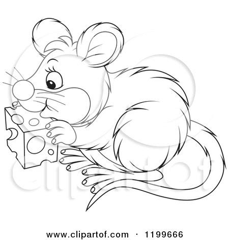 Cartoon of a Black and White Cute Mouse Eating Cheese - Royalty Free Vector Clipart by Alex ...