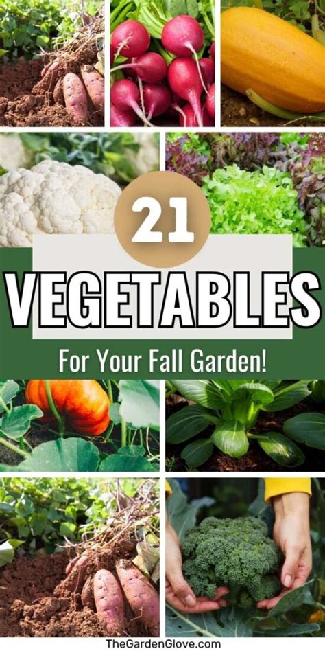 21 Fall Garden Vegetables to Plant for a Fall Harvest • The Garden Glove