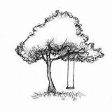 Tree With Swing Drawing sketch template