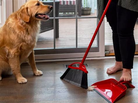 O-Cedar Broom & Step-On Dustpan Set Just $14.69 on Amazon (Reg. $20) | Over 7,000 5-Star Reviews ...