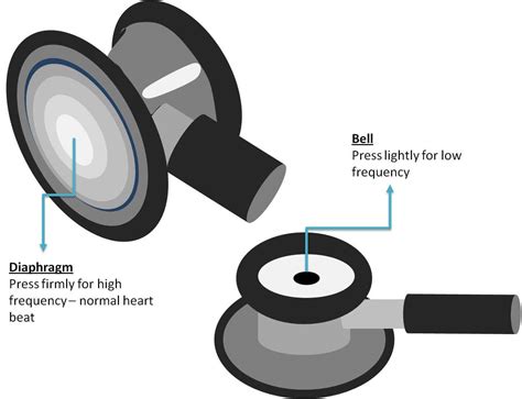 How to Use a Stethoscope: Complete Guide