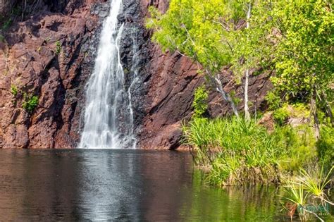 9 Unmissable Things To Do In Litchfield National Park, Northern Territory