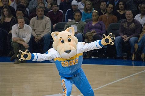 Who Is Inside Rocky, the Denver Nuggets Mascot, Right Now? | Westword