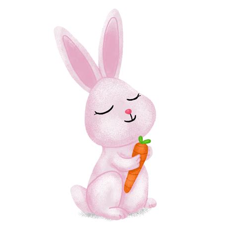 Cute Rabbit With Carrot Food, Cute Rabbit, Cute Animal, Animal Clipart PNG Transparent Clipart ...