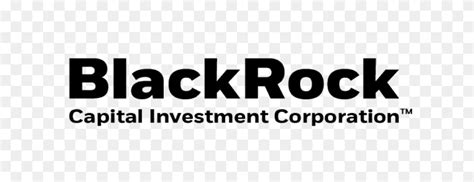 Blackrock Logo & Transparent Blackrock.PNG Logo Images