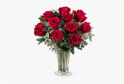 10 Rosas Rojas - Ramo De 10 Rosas Rojas Transparent PNG - 480x480 - Free Download on NicePNG