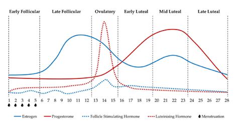 The Olympian period -- the effect of menstruation on female athletes ...