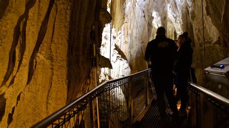 Visit Waitomo Caves: 2024 Travel Guide for Waitomo Caves, Waikato | Expedia