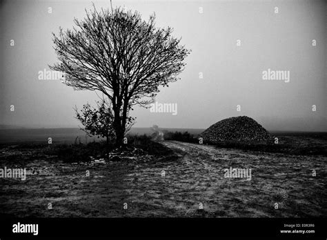 Breaking the hindenburg line 1918 Black and White Stock Photos & Images ...