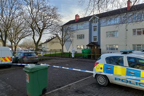 Pictures from murder investigation scene after man’s death in Hartcliffe