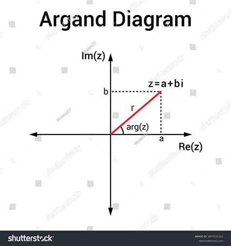 Argand Diagram Complex Number Mathematics Stock Vector (Royalty Free) 2075521321 | Shutterstock