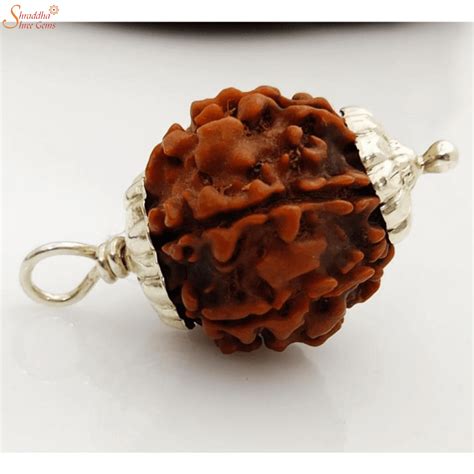 Natural And Certified 5 Mukhi/Face Rudraksha Pendants In Sterling Silver