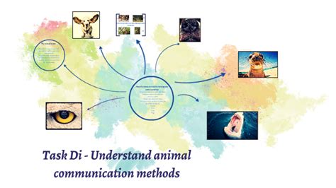 Task Di - Understand animal communication methods by rebecca bracey on ...