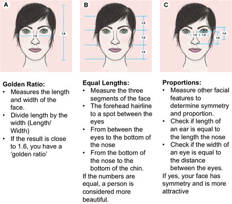 Golden Ratio Face Worksheet