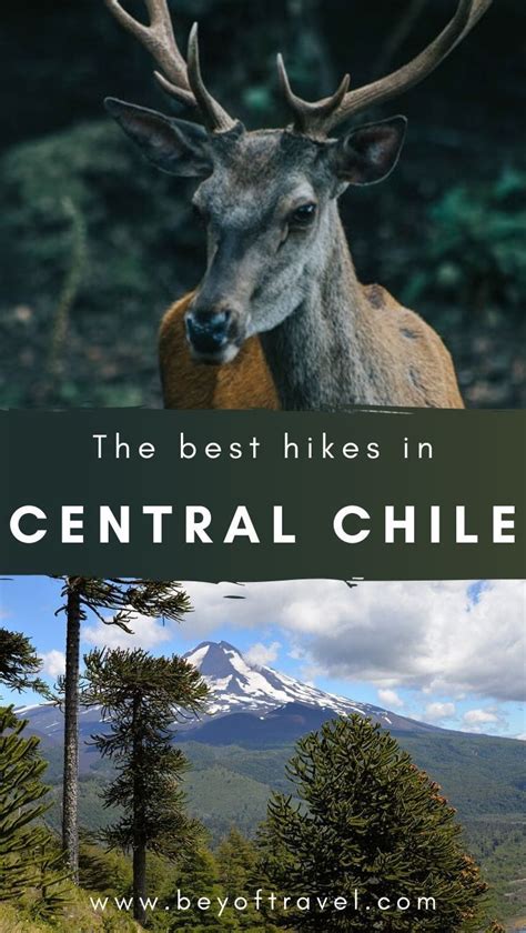 Looking for the best hikes in central Chile? Click here to read all about the best hikes and the ...