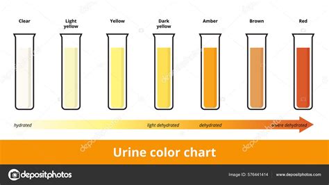 Urine Color Chart Pee Hydration Dehydration Test Strip Urine Test Stock Vector by ©mortiara ...