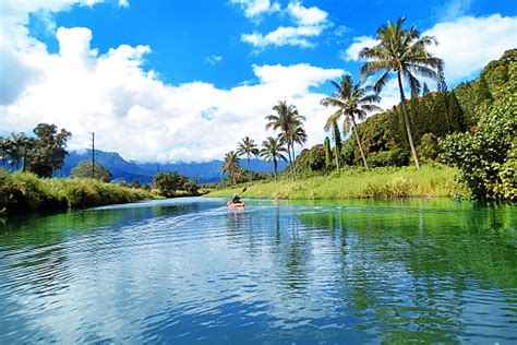 Kayaking In The Hanalei River In Hanalei Bay Kauai Stock Photo ...