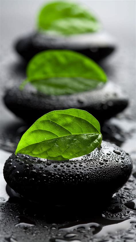 Zen Stones, leaves, spa, stone, stones, water, zen, HD phone wallpaper | Peakpx