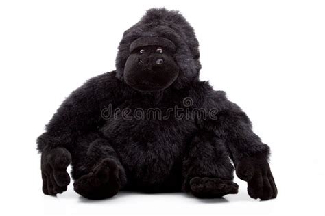 A plush monkey stock photo. Image of present, studio, plush - 8267502