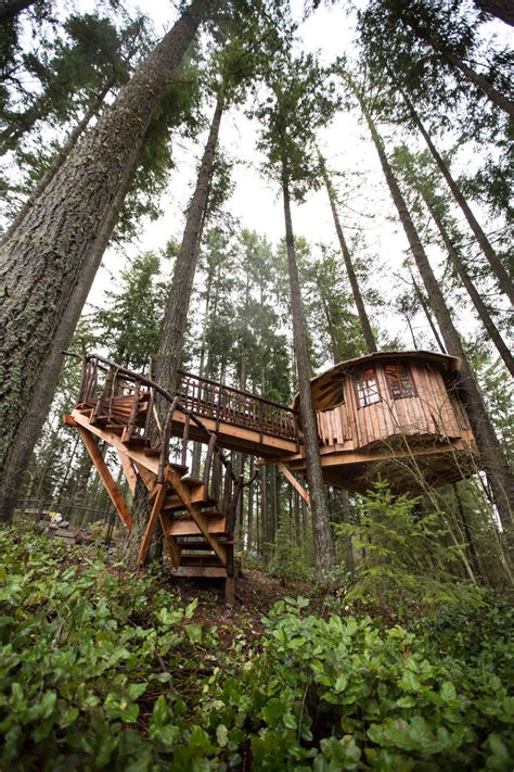 Treehouse Masters Season 3, Episode 2: Safari Treehouse — Nelson Treehouse