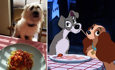 Disney Movie Food: Lady and The Tramp Spaghetti and Meatballs!