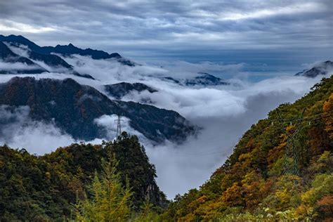 Autumn scenery in Shennongjia National Park - Xinhua | English.news.cn