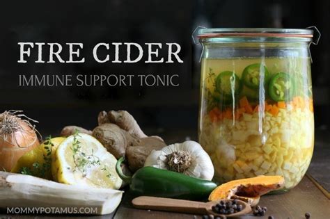 Traditional Fire Cider Recipe + 6 Ways To Use It