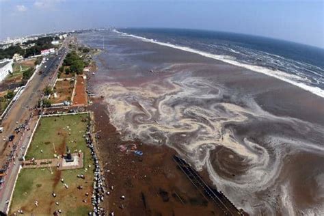 Indian Ocean region vulnerable to massive tsunamis: study