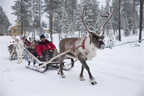 Santa’s Lapland reassures family groups that they are ‘in safe hands ...